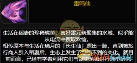  原神雷鸣仙鱼在哪