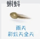 心动小镇蝌蚪钓取位置攻略