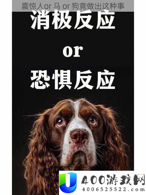 震惊人or马or狗竟做出这种事