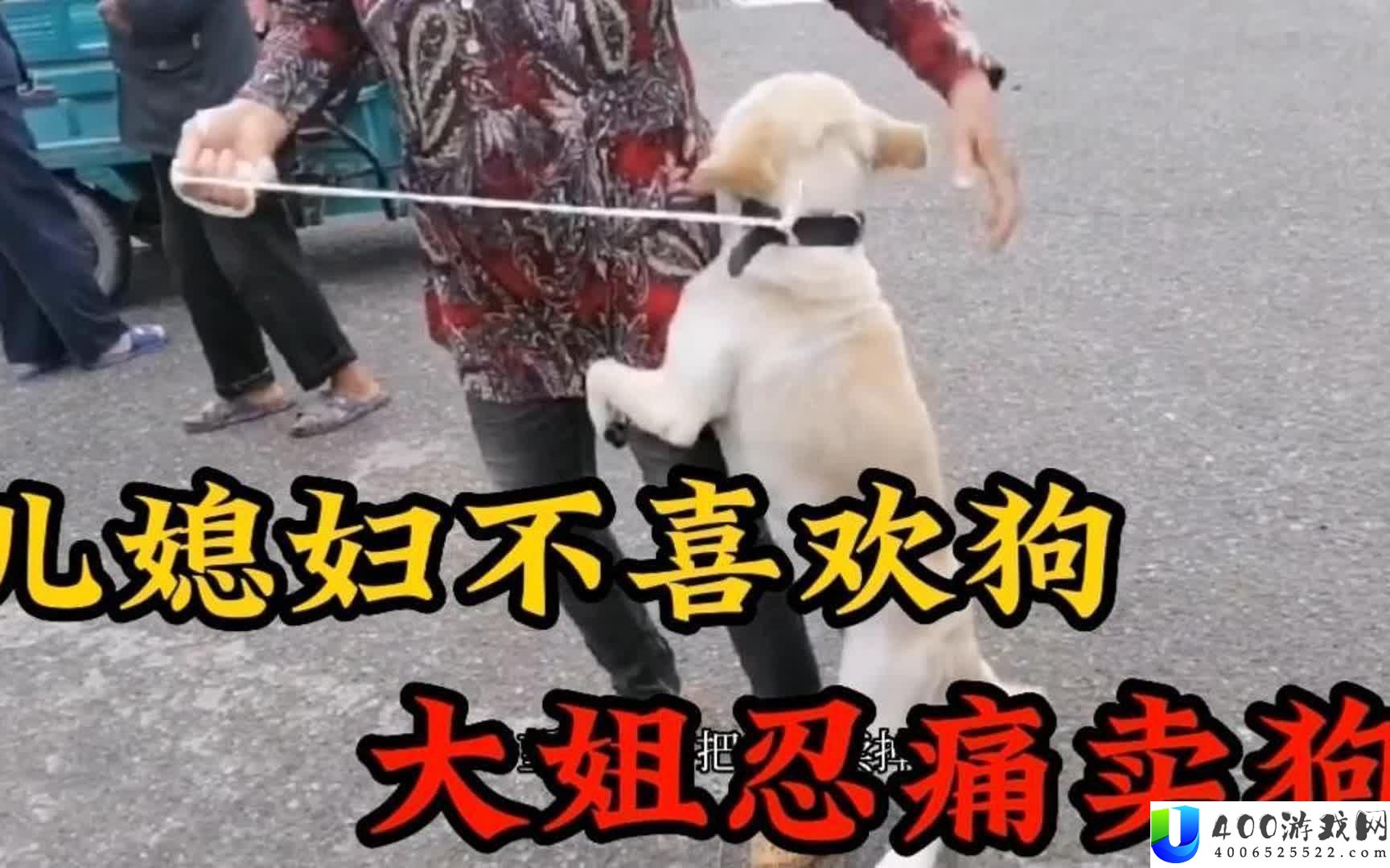 婆婆的犬吠抗议