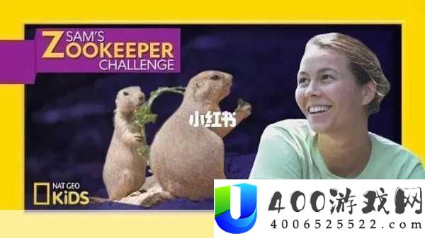 ZOOKEEPER另类-探索Zookeeper的独特应用与挑战