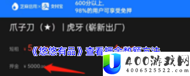 悠悠有品如何查看押金数额：查看押金的详细步骤与技巧