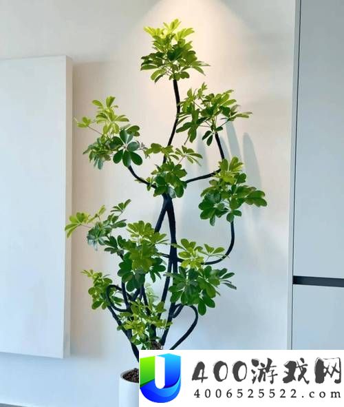 内容雄厚女性坐着扦插BB的优点，网友：坐着真是个好抉择！