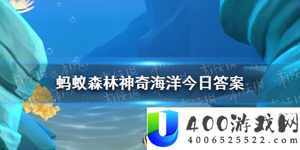 刺参就是有刺的海参吗 奇异海洋4月28日谜底