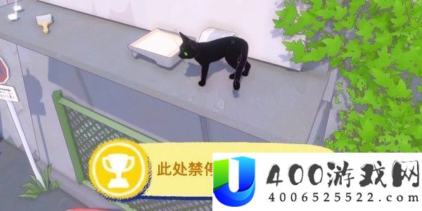 小猫咪大城市禁停成绩怎样取得