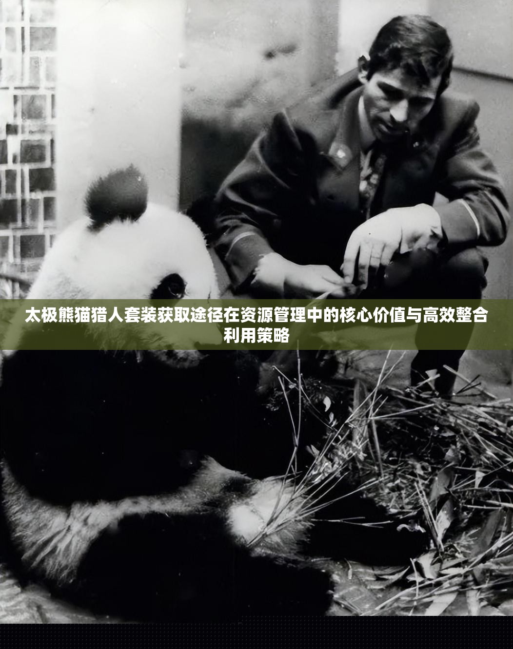 太极熊猫猎人套装：核心价值与高效整合资源管理策略