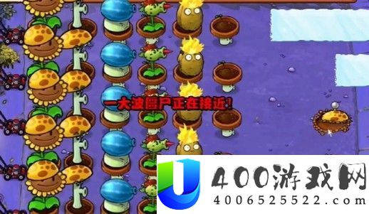 植物大战僵尸杂交版攻略