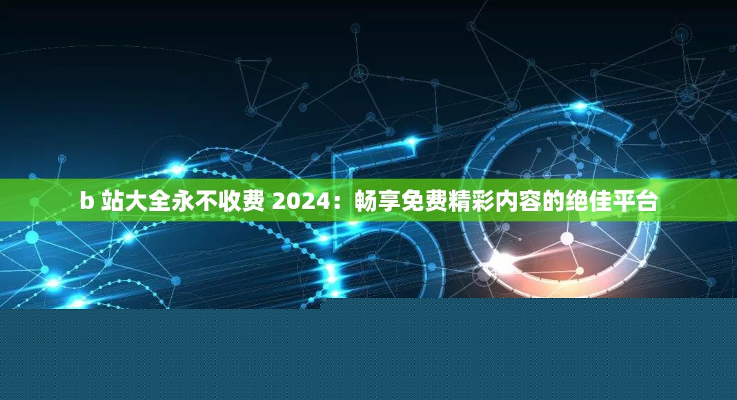 b站大全永不收费2024：畅享精彩免费内容的平台