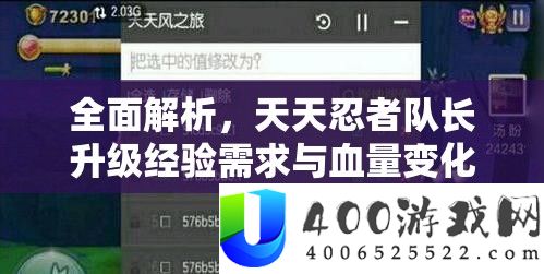 全面解析