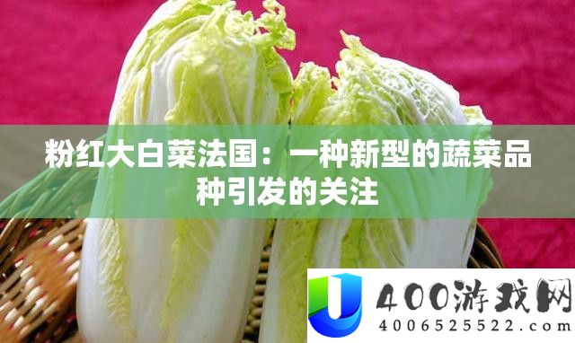 粉红大白菜法国：一种新型的蔬菜种类激发的关注