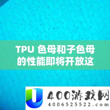 TPU 色母和子色母的机能行将开放这一主要音讯需关注