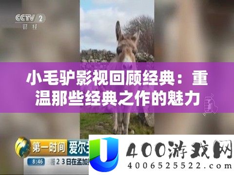 小毛驴影视回忆经典：重温那些经典之作的魅力