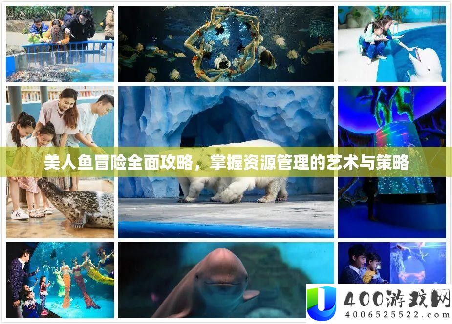 佳丽鱼冒险周全攻略，把握资本经管的艺术与技巧