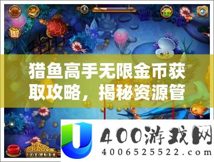 猎鱼高手无限金币获取攻略，揭秘资源管理的艺术与技巧