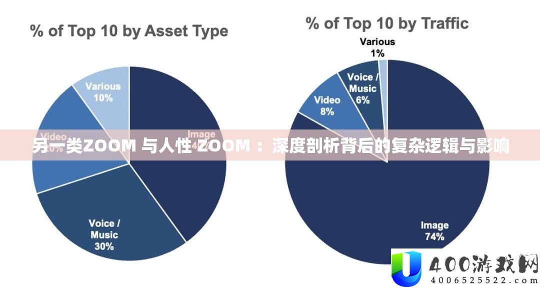 另一类ZOOM 与人道 ZOOM 