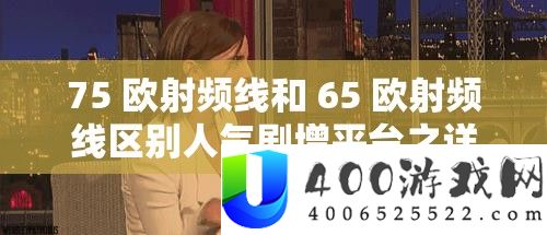 75 欧射频线和 65 欧射频线区分人气剧增平台之具体对照与剖析