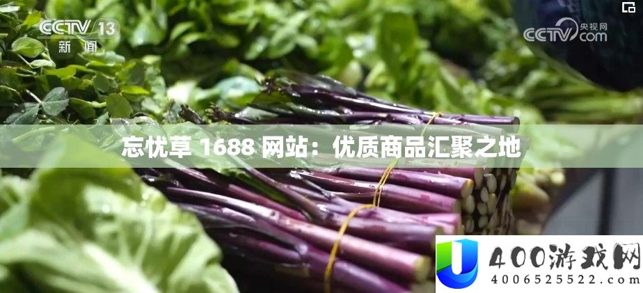 忘忧草 1688 网站：优质商品汇聚之地