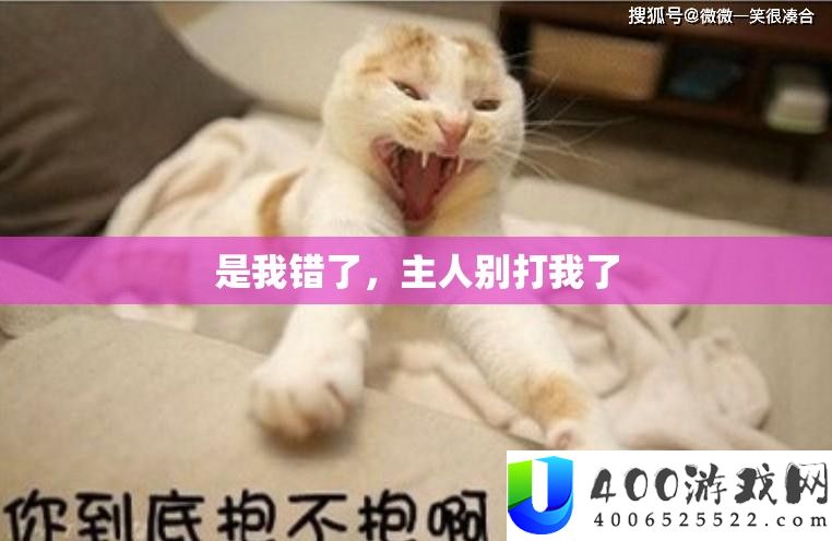 是我错了，主人别打我了