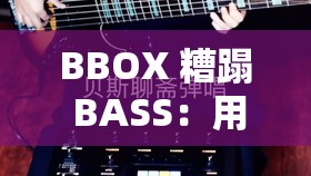 BBOX 糟蹋 BASS：用节奏诠释音乐的力量