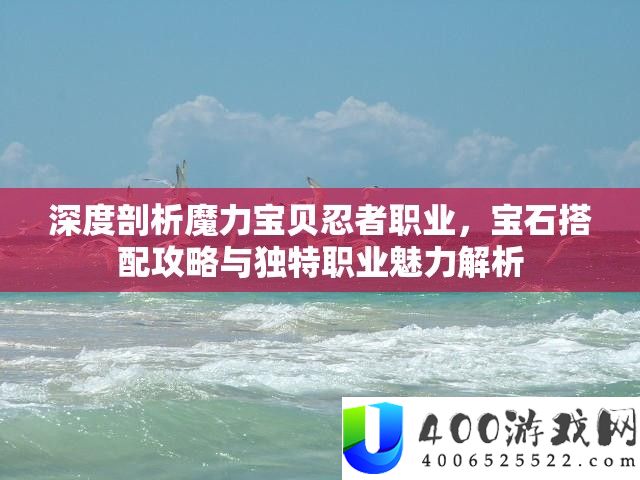 深度分析魔力法宝忍者职业