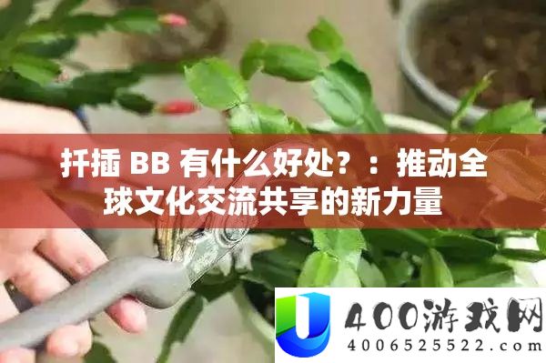 扦插 BB 有什么好处？：推动全球文化交流共享的新力量