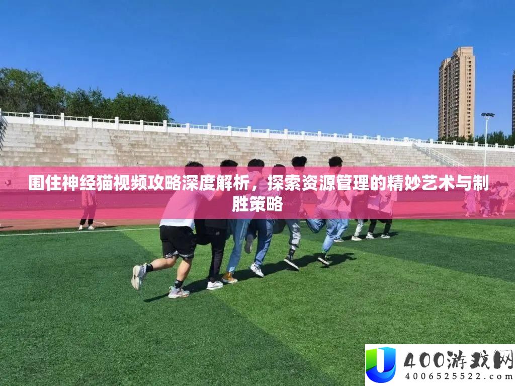 围住神经猫视频攻略深度分析，索求资本经管的精巧艺术与制胜技巧
