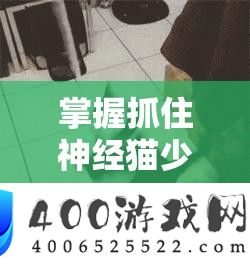 把握捉住神经猫少步调技能在高效资本经管与优化中的关头感化