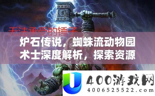 炉石传说，蜘蛛流动物园术士深度解析，探索资源管理的极致艺术