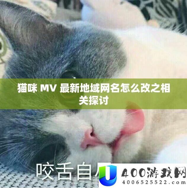 猫咪 MV 最新地域网名怎么改之相关探讨