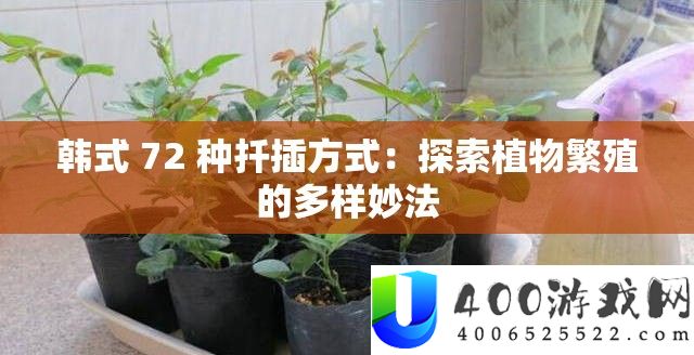 韩式 72 种扦插方法：索求植物滋生的多样妙法