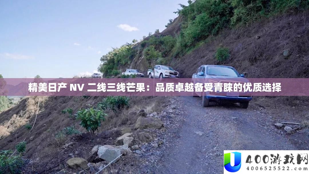 精美日产 NV 二线三线芒果：品质卓越备受青睐的优质选择