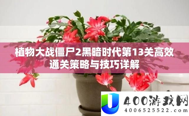 植物大战僵尸2阴郁时期第13关高效通关技巧与技能详细解答