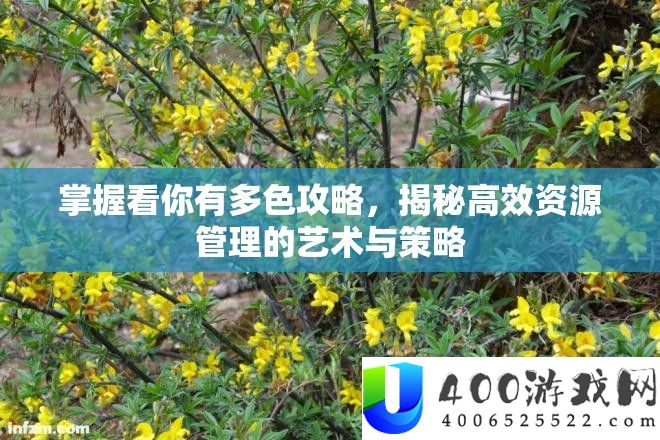 掌握看你有多色攻略，揭秘高效资源管理的艺术与策略