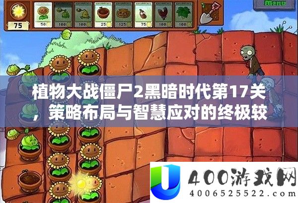 植物大战僵尸2黑暗时代第17关