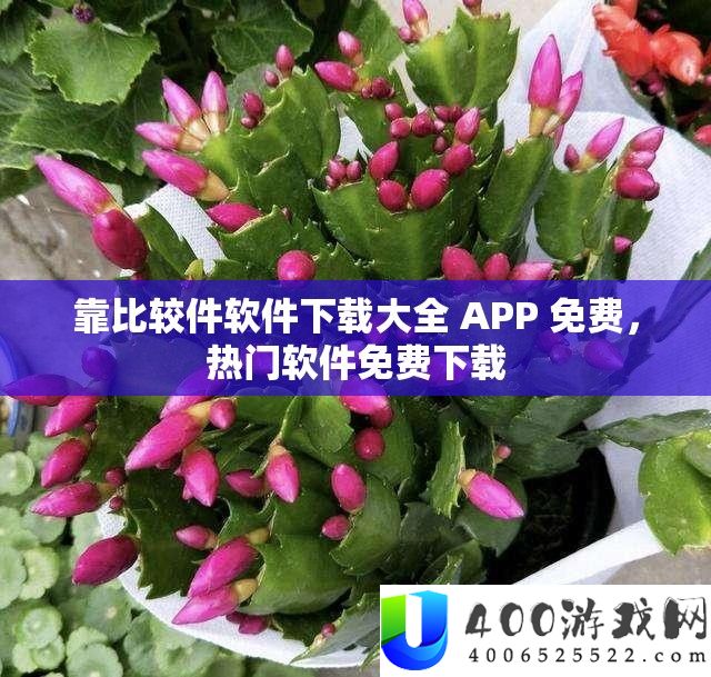 靠比力件软件下载大全 APP 收费，抢手软件收费下载