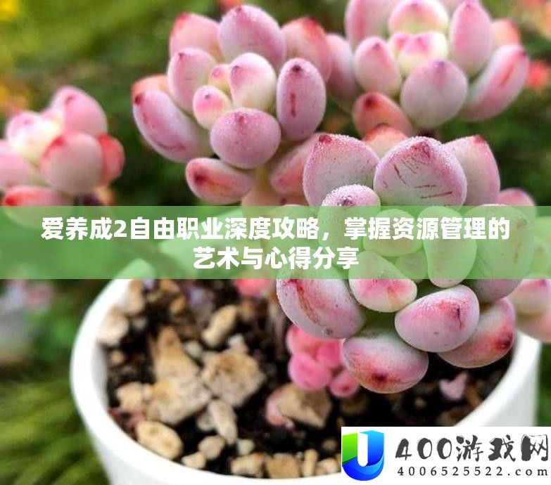 爱养成2自由职业深度攻略，掌握资源管理的艺术与心得分享