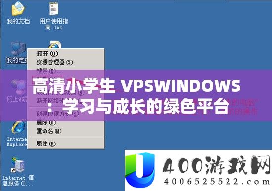 高清小学生 VPSWINDOWS：学习与成长的绿色平台