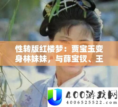 性转版红楼梦