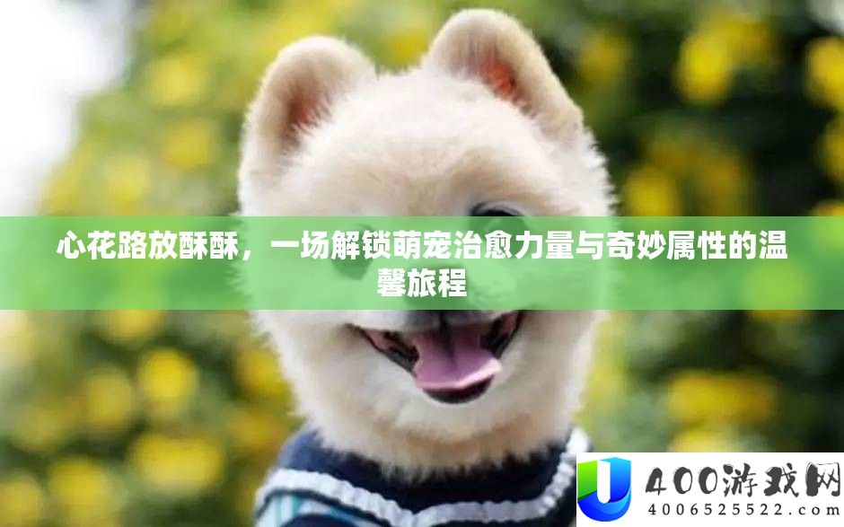 心花路放酥酥，一场解锁萌宠治愈力量与奇妙属性的温馨旅程
