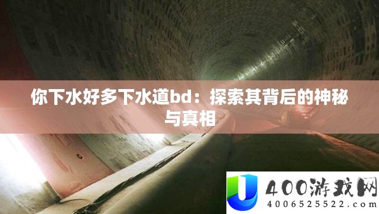 你下水好多下水道bd：探索其背后的神秘与真相