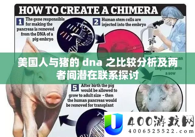 美国人与猪的 dna 之比较分析及两者间潜在联系探讨