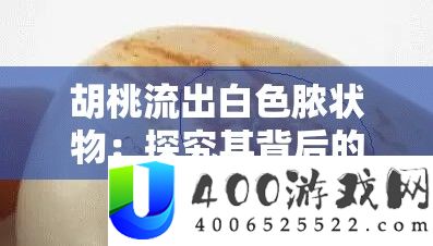 胡桃流出白色脓状物：探究其背后的神秘原因与影响