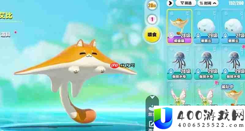 艾比橘福猫捕捉教程