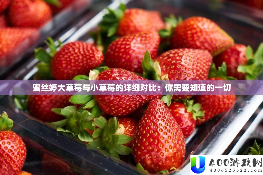 蜜丝婷大草莓与小草莓的详细对比：你需要知道的一切