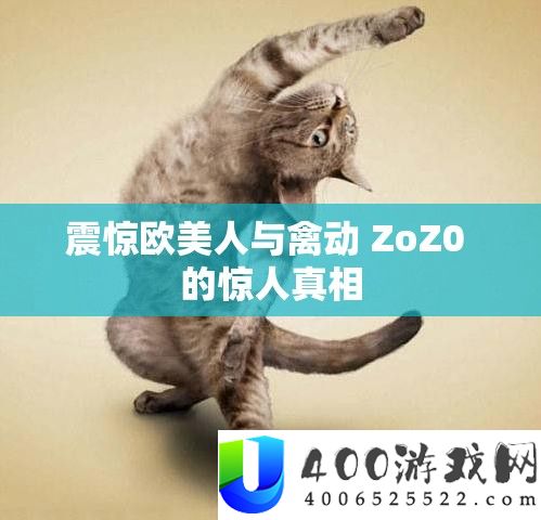 震惊欧美人与禽动 ZoZ0 的惊人真相