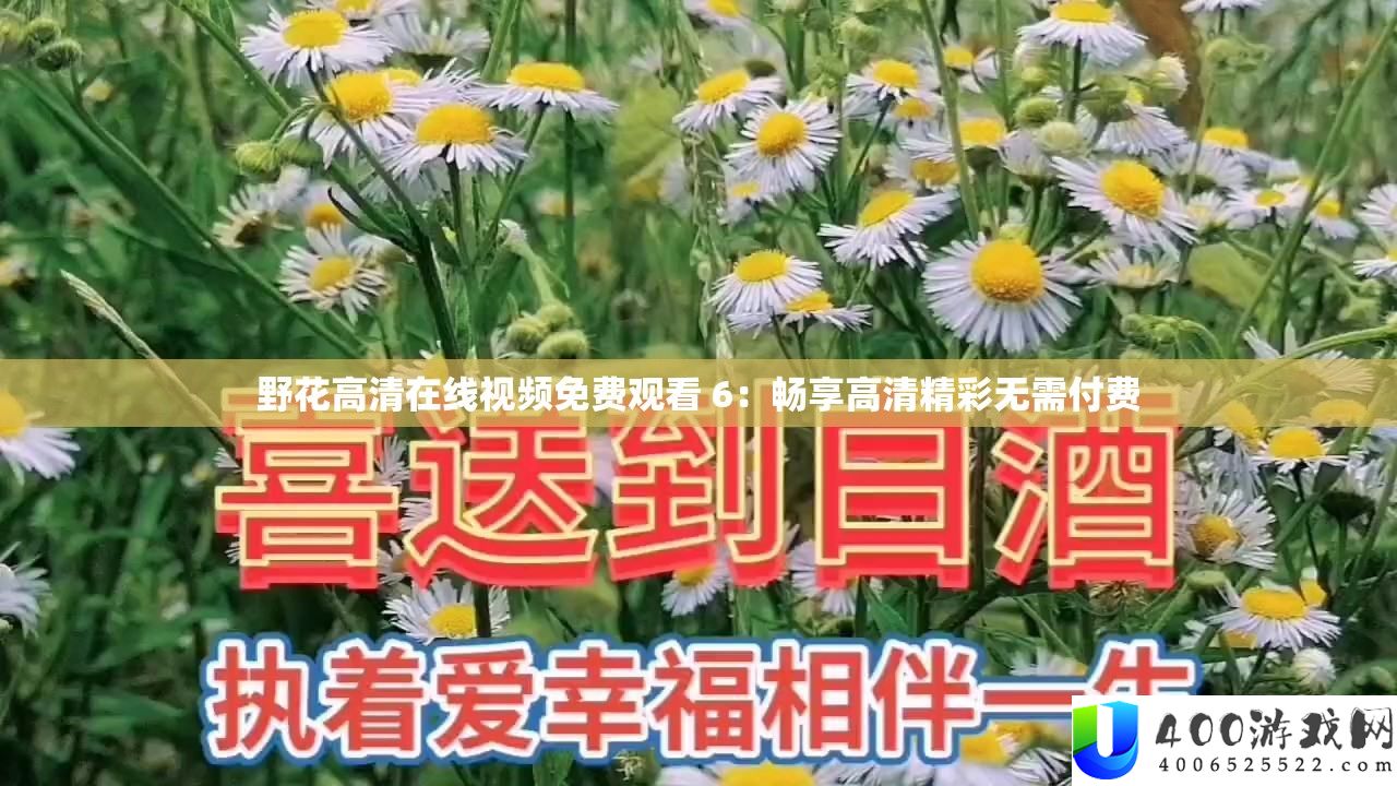 野花高清在线视频免费观看 6：畅享高清精彩无需付费