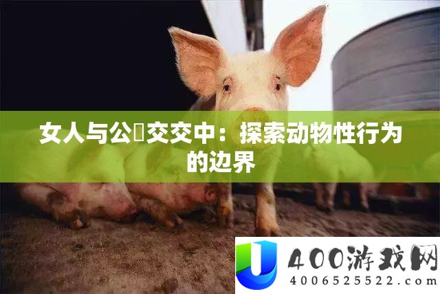 女人与公豬交交中：探索动物性行为的边界