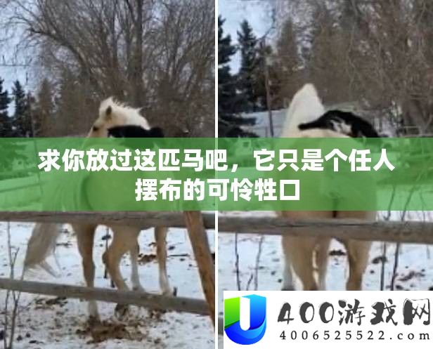 求你放过这匹马吧，它只是个任人摆布的可怜牲口