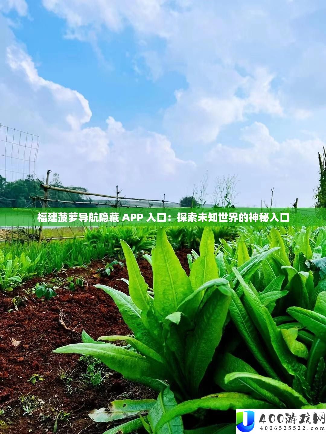 福建菠萝导航潜藏 APP 进口