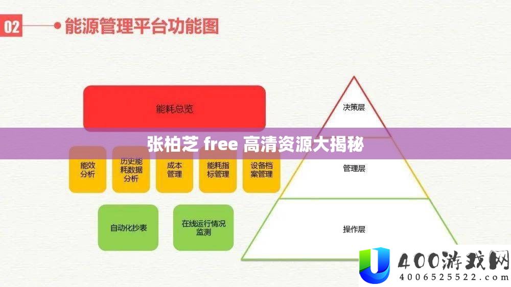 张柏芝 free 高清资本大揭秘